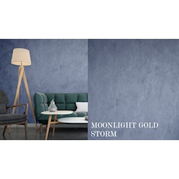 MOONLIGHT GOLD STORM.jpg